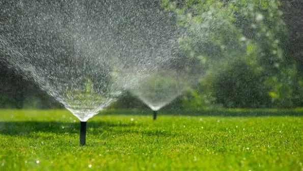 Summer Lawn Prep Checklist: The Complete Guide to Keeping Your Lawn Healthy Through the Hottest Months of the Year