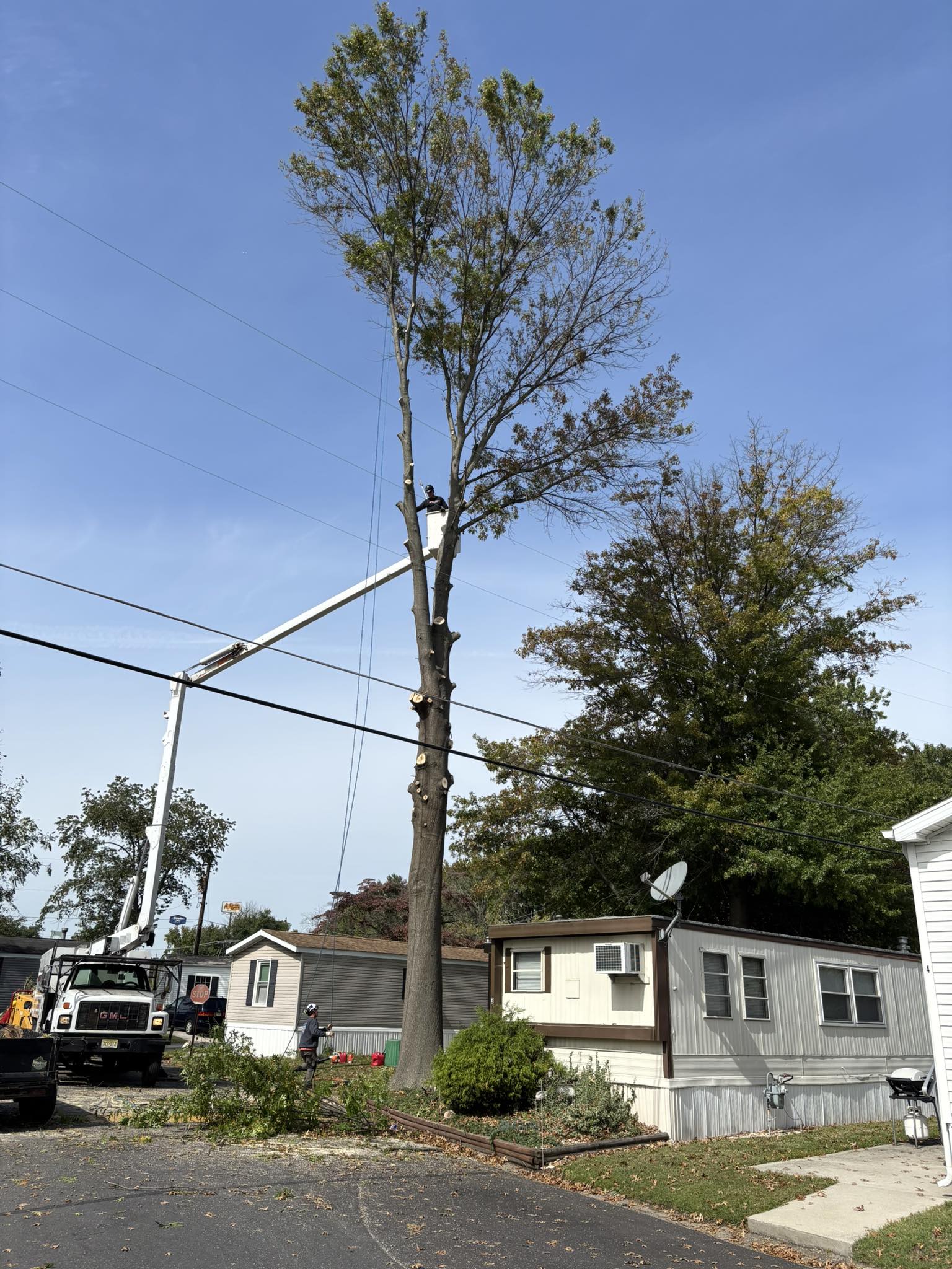 Mountain bikers riding on a scenic forest trail.