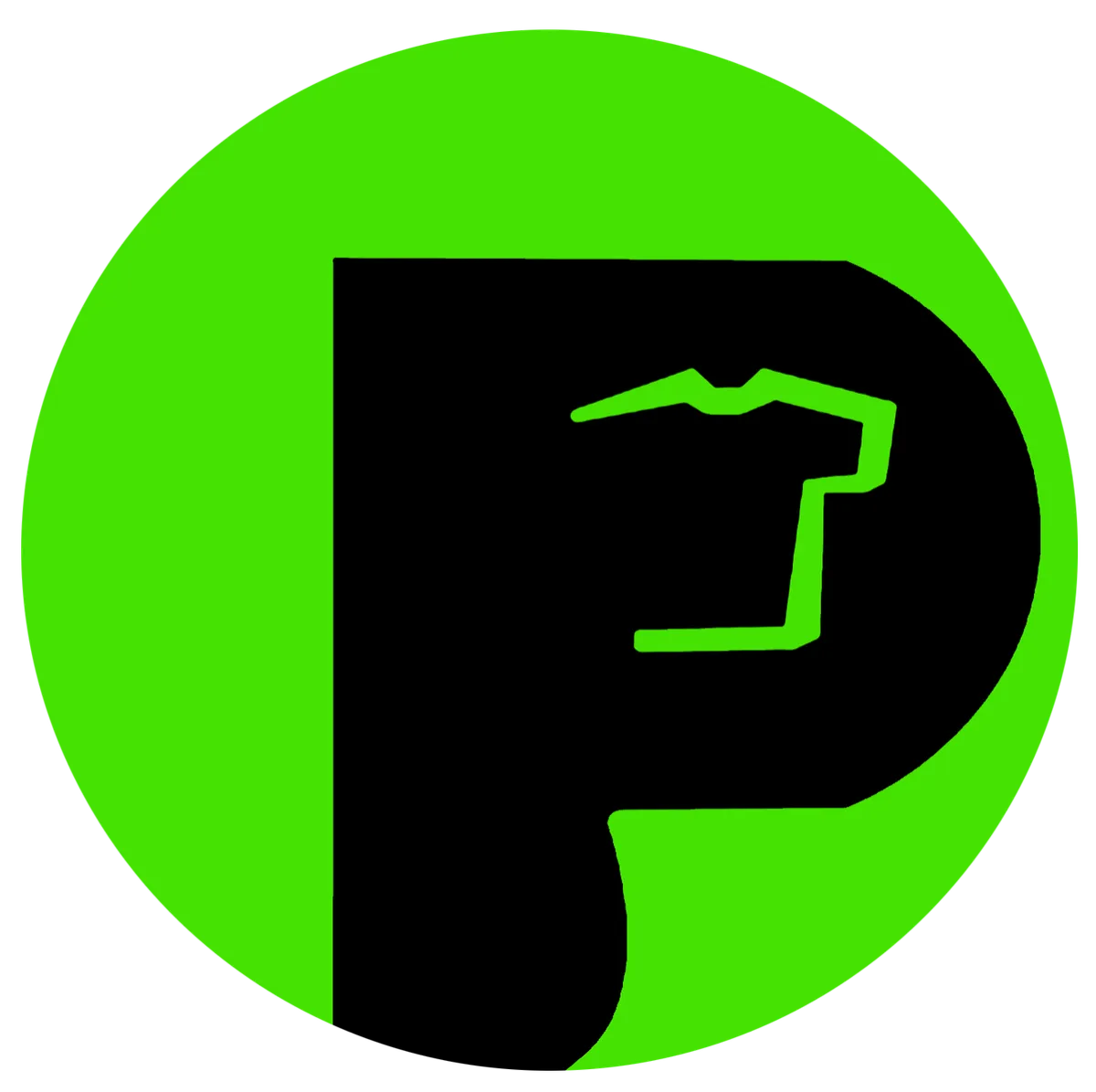 THE PLUG brand logo