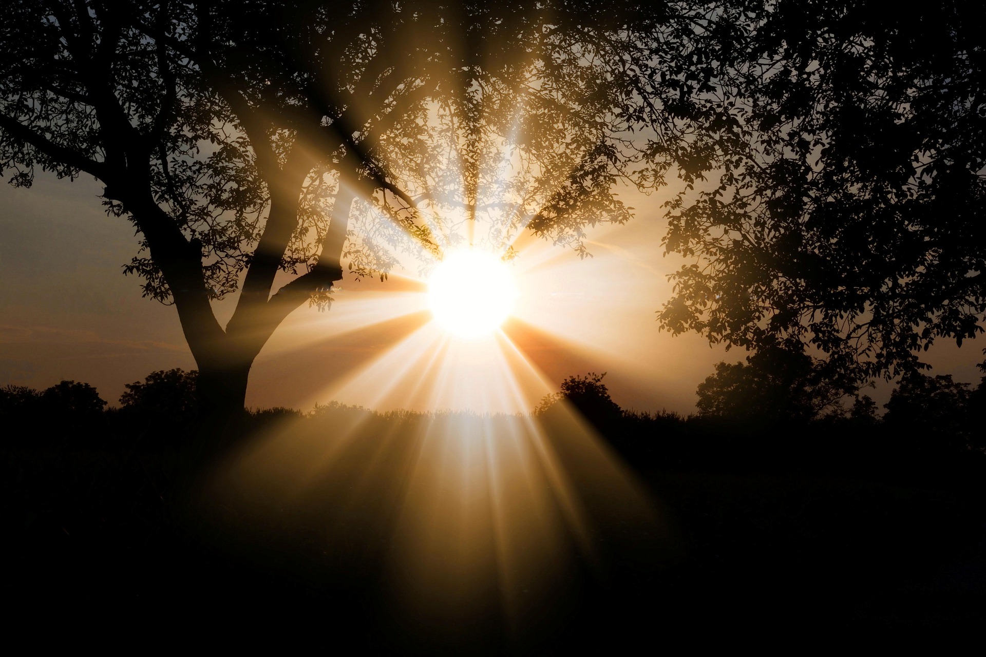 The Three Ways Change Enters Our Lives: Transformation Is Not One-Size-Fits-All