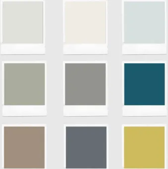 person holding orange flower petals