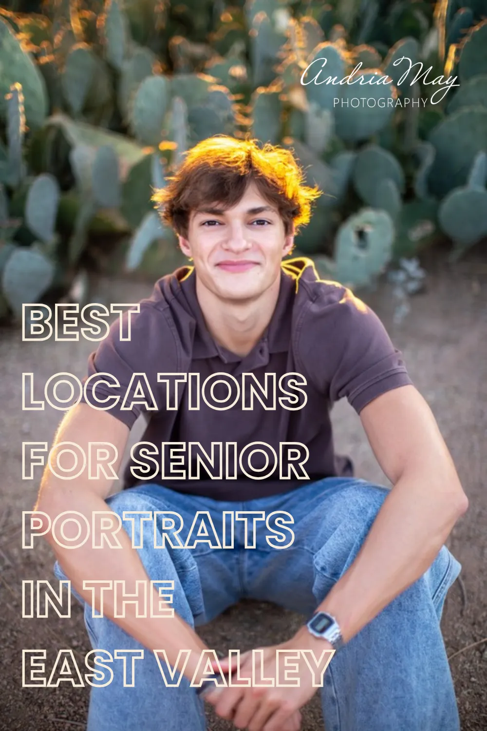 Best locations for senior portraits in the East Valley, a guide by Andria May Photography featuring a senior boy sitting among desert cacti in Gilbert, Arizona
