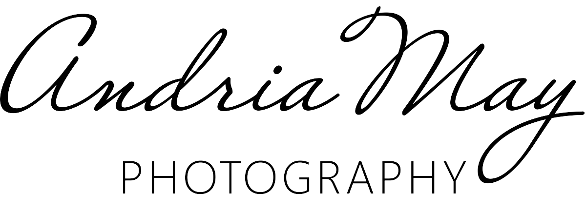Andria May Photography Gilbert Family Photographer Gilbert Senior Photographer Logo