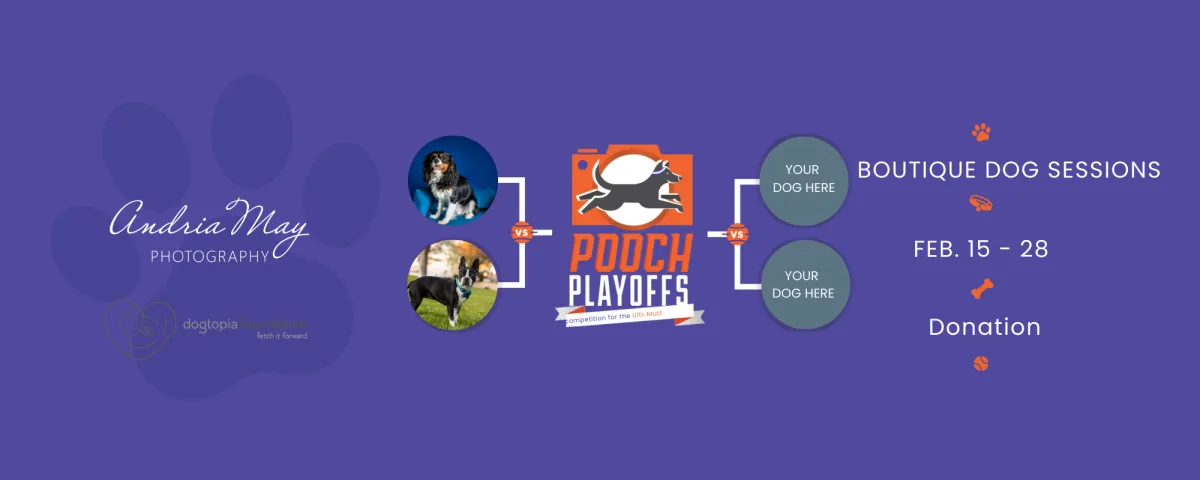 Bracket-style Pooch Playoffs graphic by Andria May Photography showcasing boutique dog portrait sessions in Gilbert, Arizona, with sample dog portraits, competition layout, February 15–28 dates, and Dogtopia Foundation partnership.