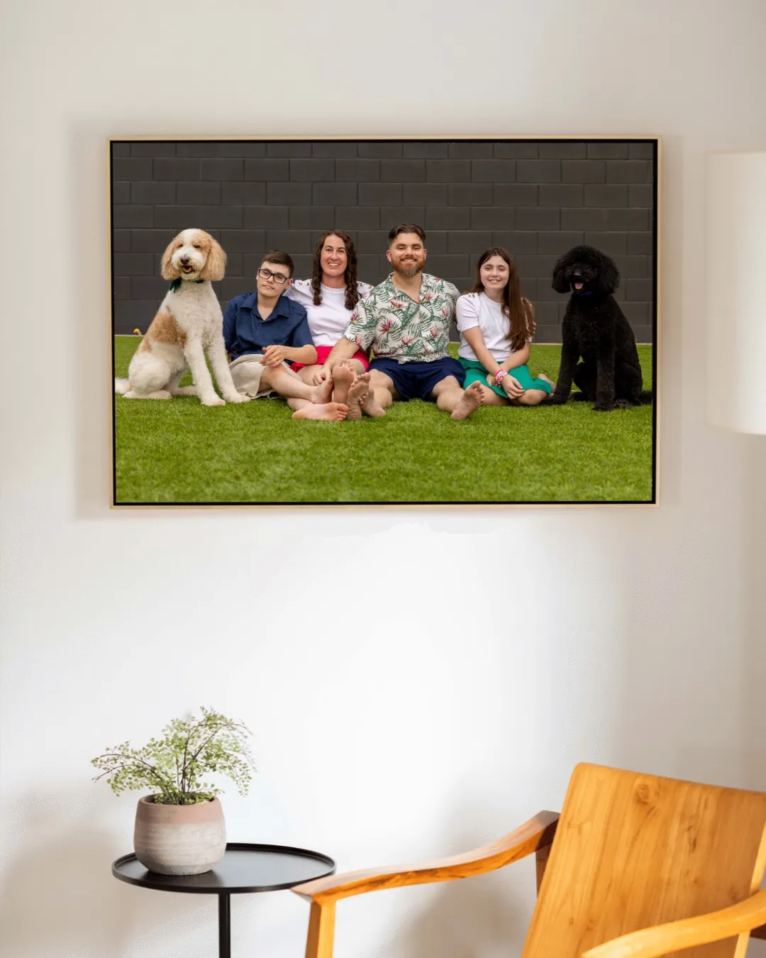 Boston Terrier dog sitting outdoors on green grass, photographed during a professional dog portrait session by Andria May Photography in Gilbert, Arizona.