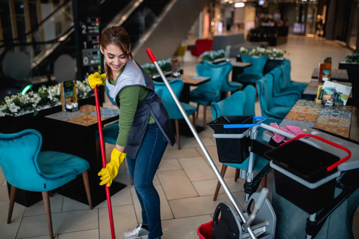 professional cleaning service