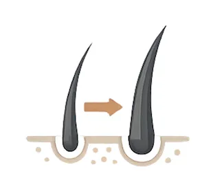 Scalp Care Services