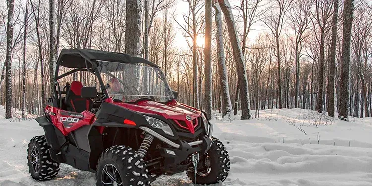 green trees on mountain under blue sky during daytime