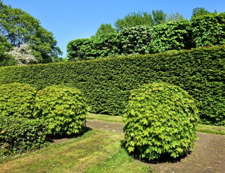 Bamboo spout pouring water into stone trough with leaves