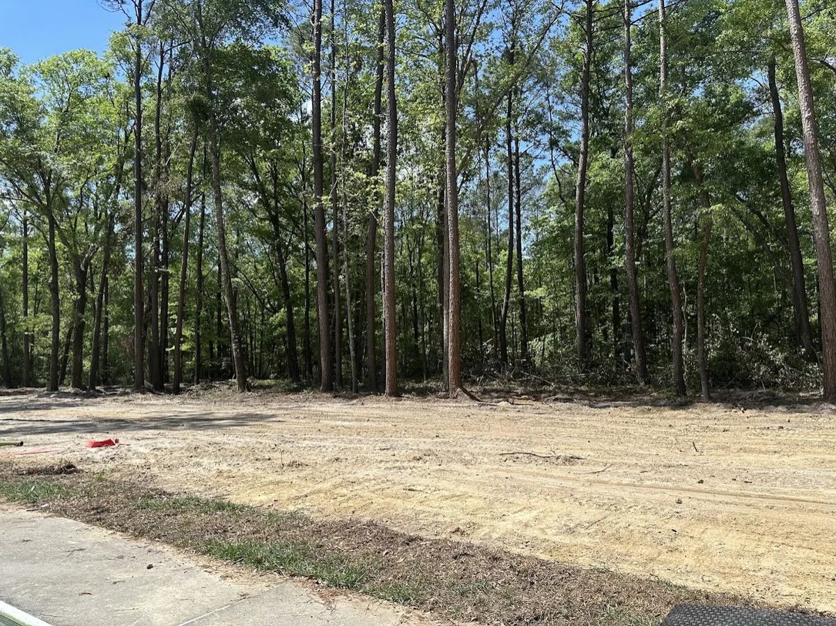 Springfield wooded lot clearing