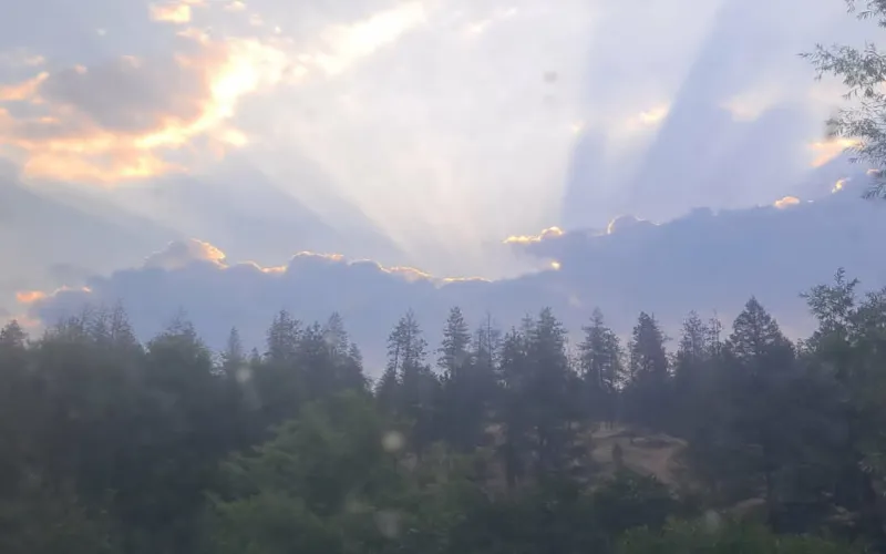 View from my east window