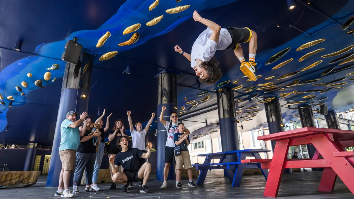 KongQuest Parkour Sydney Classes Parkoursome Darling Harbour