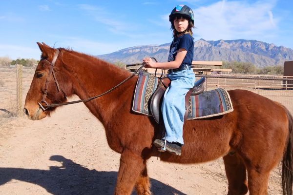 The Honest Truth: Does My Lesson Horse Actually Like Me?