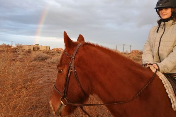 What Are the Benefits of Horse Riding Lessons for Kids?