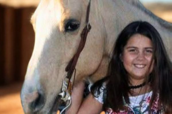 The Green Flags of Greatness: How to Spot a High-Quality Riding School