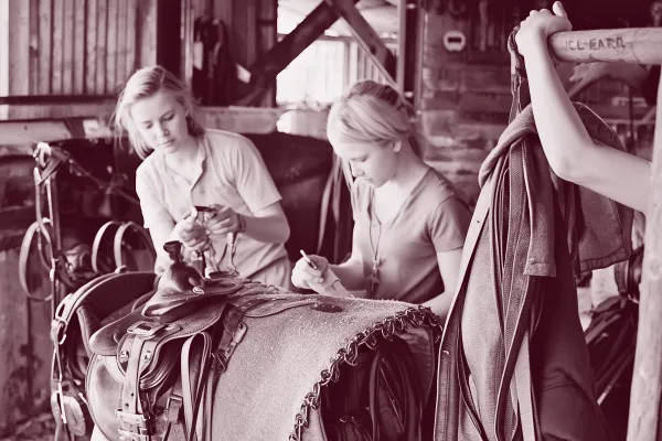 Do All Horse Riding Schools Include Horse Care? Why It Matters for Albuquerque Riders