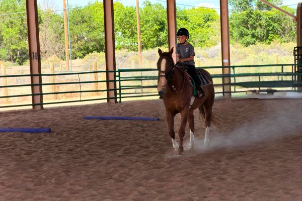 Ride Smarter, Not Just Better: The Power of Horsemanship and Equine Psychology