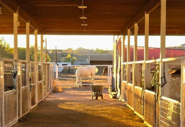 Outdoor Stalls and Paddock