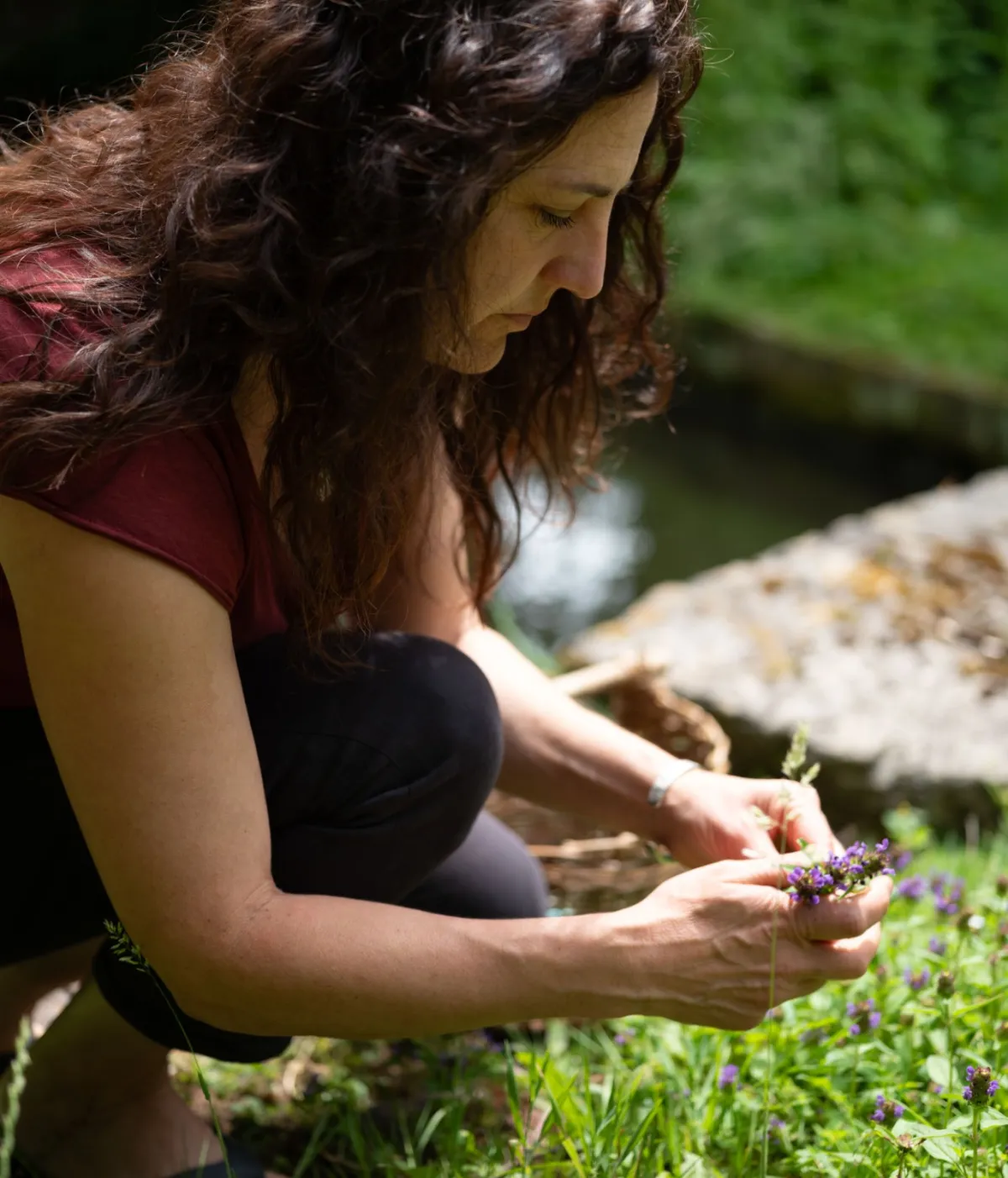 Hannah, foraging for selfheal