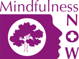 Mindfuless Now, Mindfulness Meditation teach training