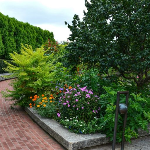 Yard makeover services in the Greater Phoenix Valley by Solterra Solutions