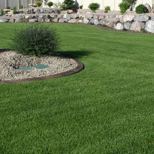 Assisted living transition support for seniors in Phoenix Valley