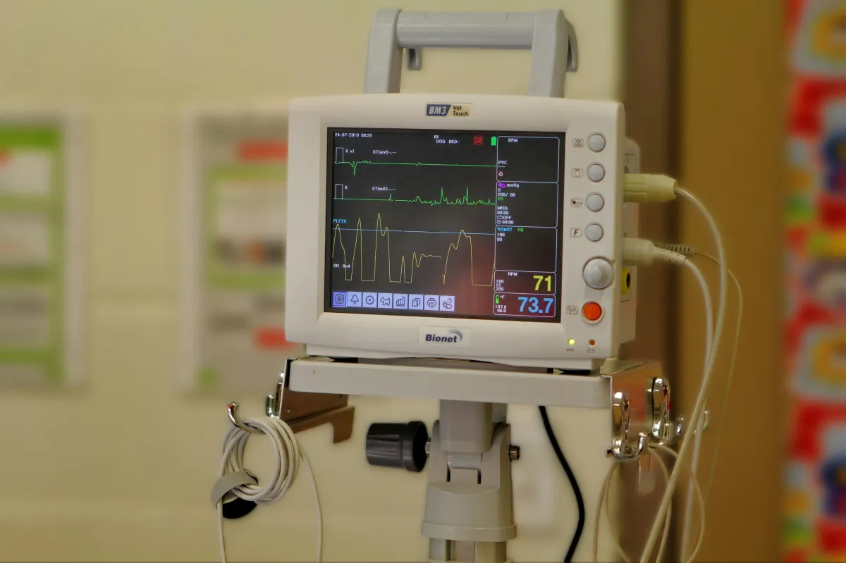 How Do Doctors Investigate  Heart Failure? 