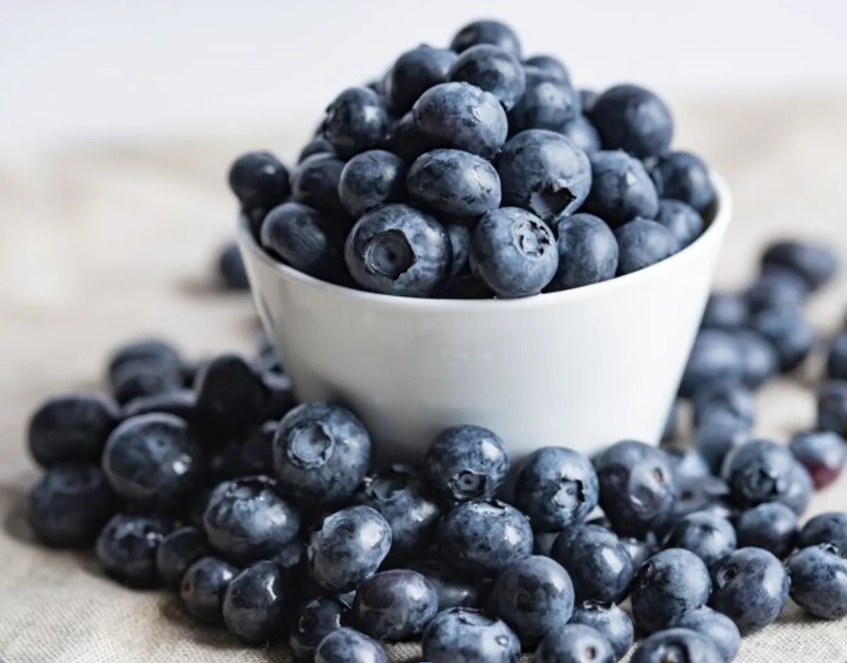 blueberries, blueberry, ecoutay wellness, intuitive eating