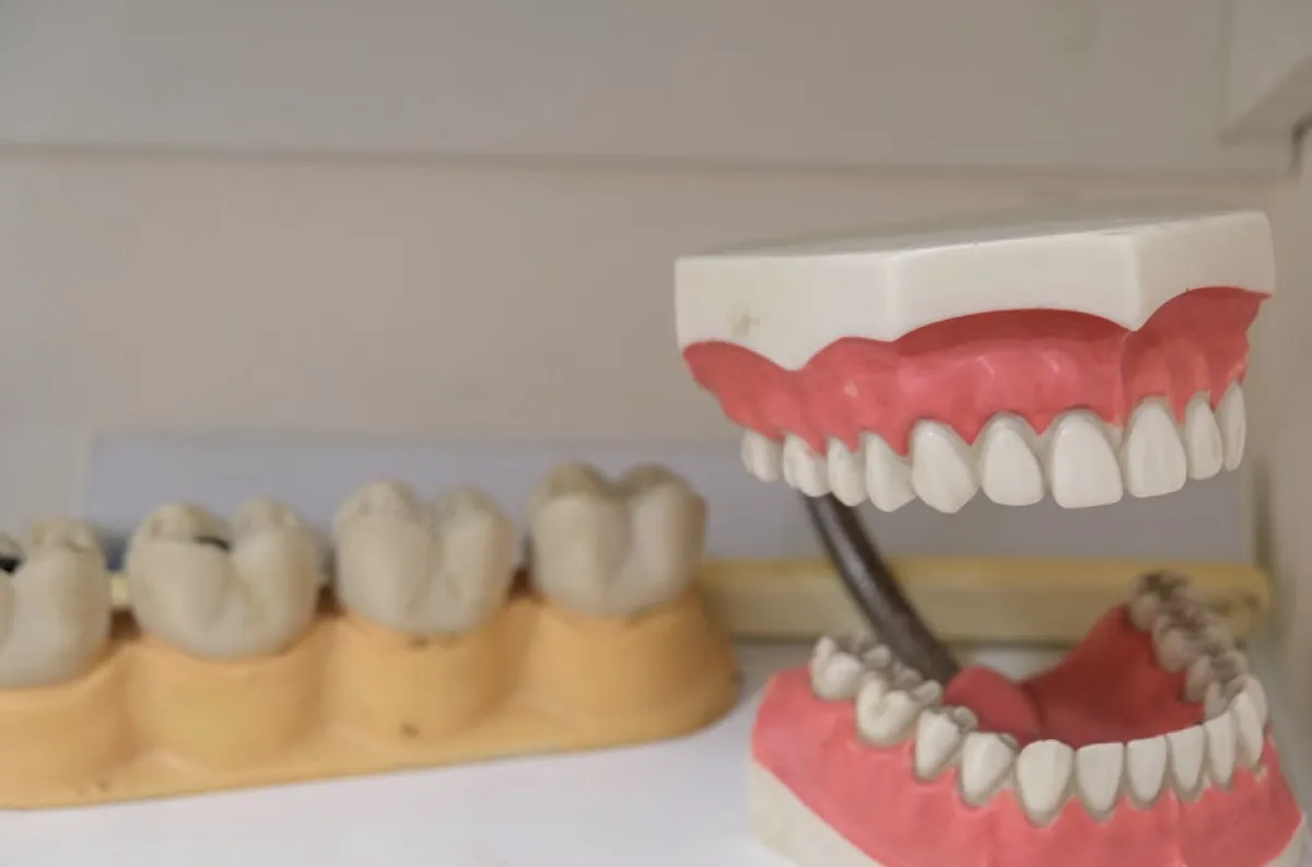 most realistic full and partial dentures