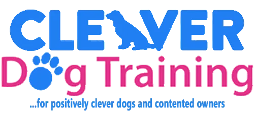 Cleaver Dog Training