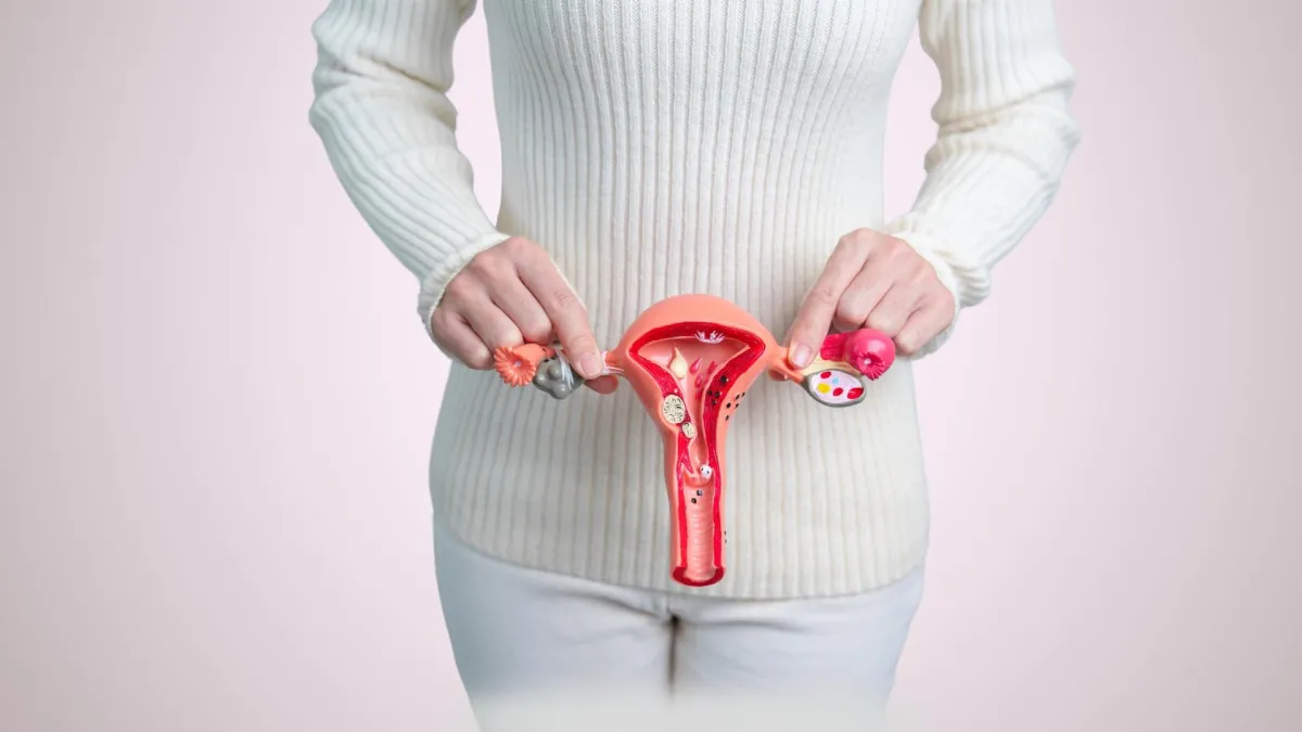 Woman holding a uterus model.