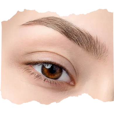 Powder Brows en Puerto Rico