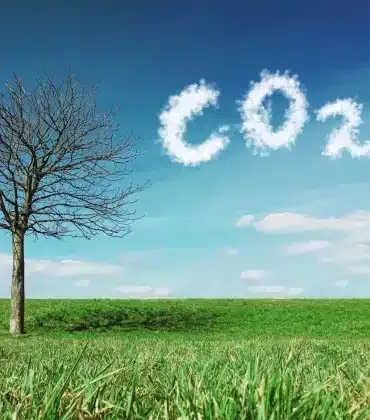 Compre Créditos de Carbono