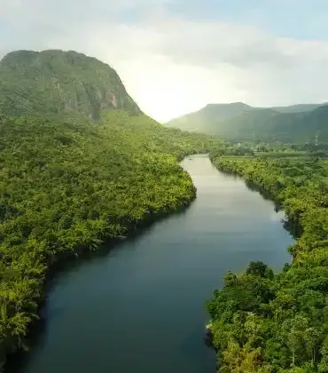 Compre Créditos de Carbono