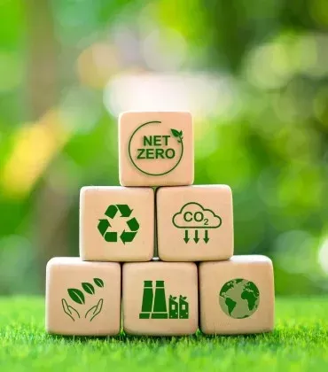 Compre Créditos de Carbono