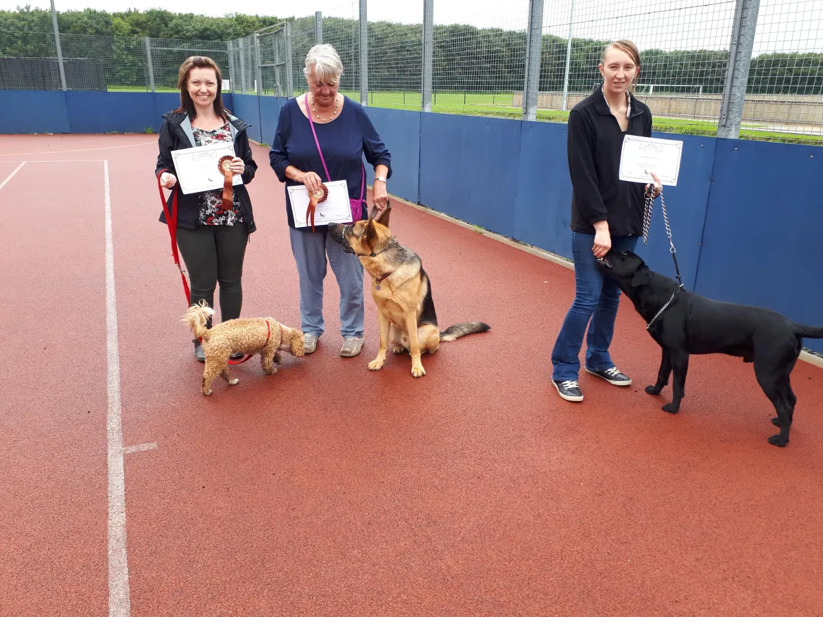 2017 3 dogs graduating from bronze lifesklills