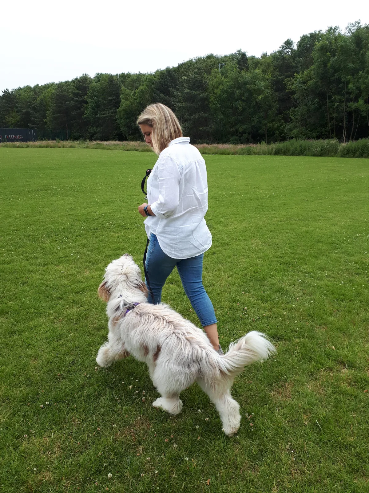 reactive dog walking at cramlington nature reserve