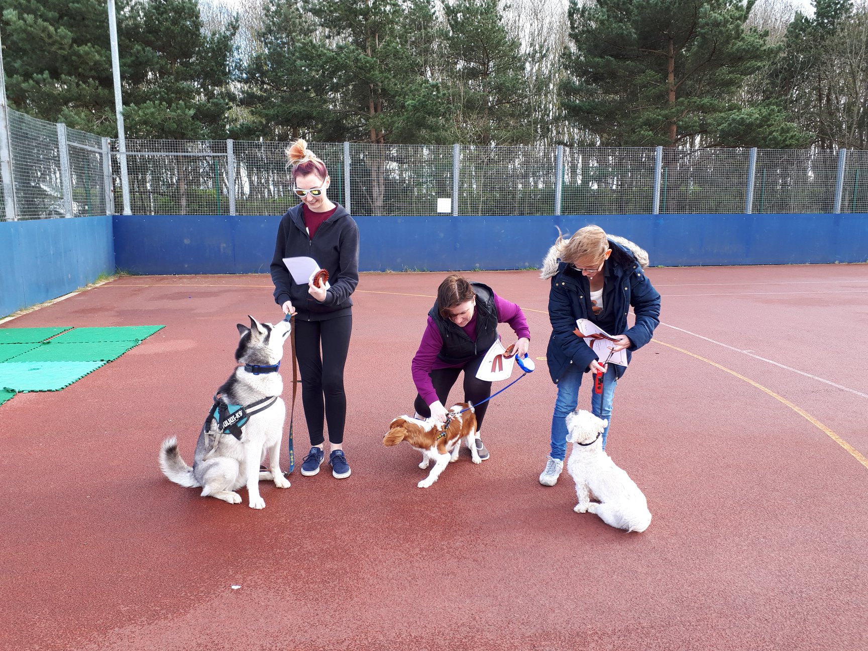 outdoor adult dog training group photo