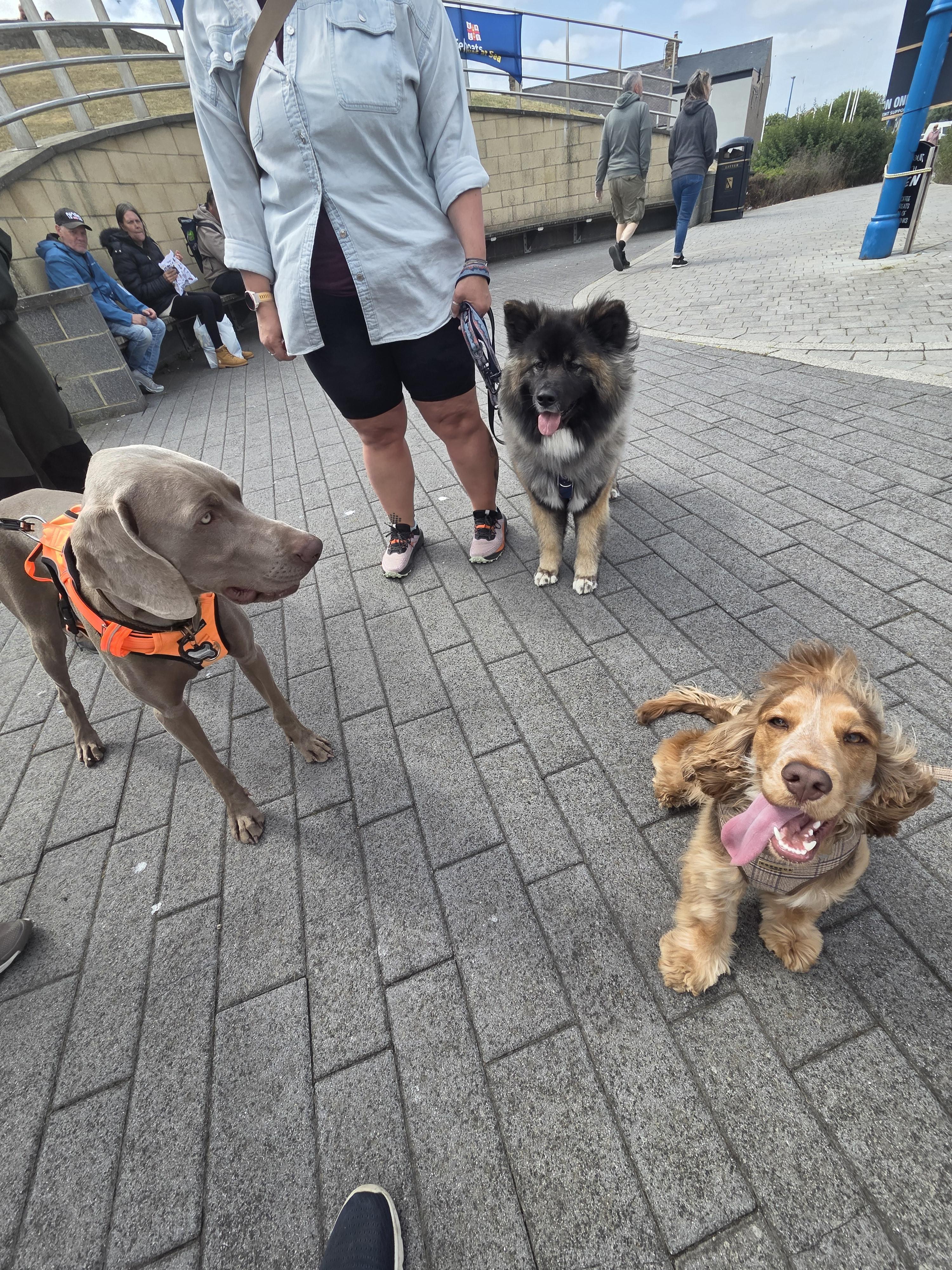 three dos on social walk at amble market