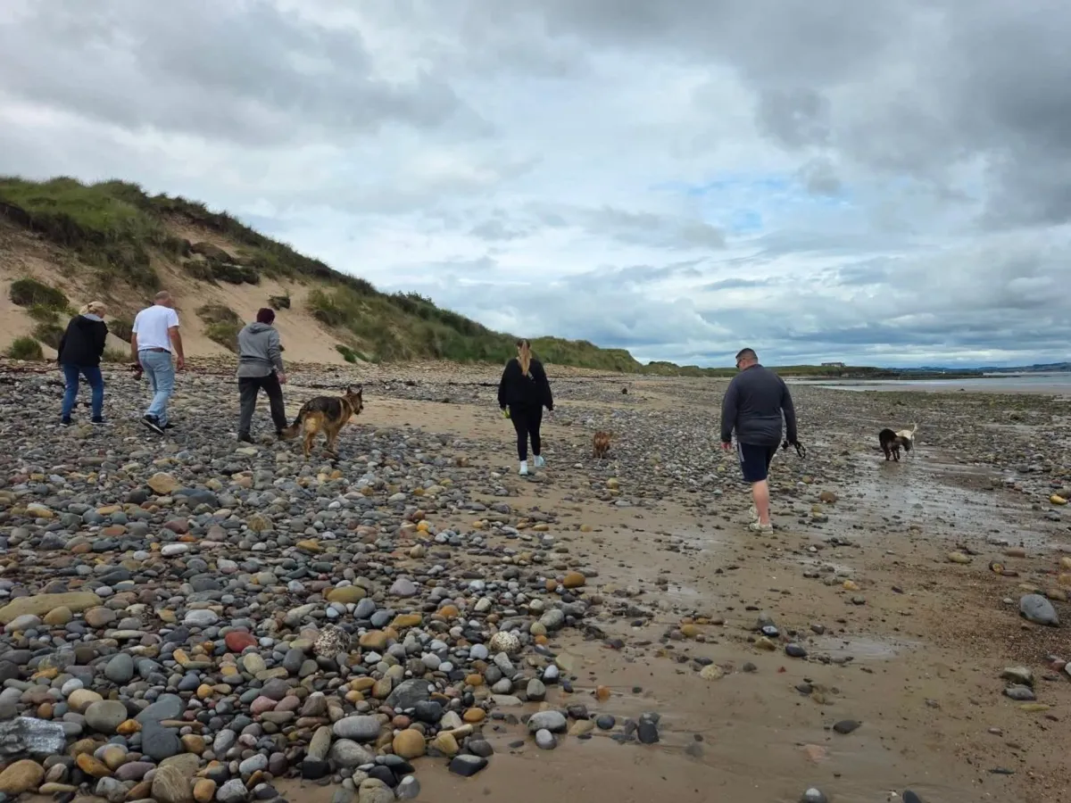 group offlead walk at amble beach with 4 dog