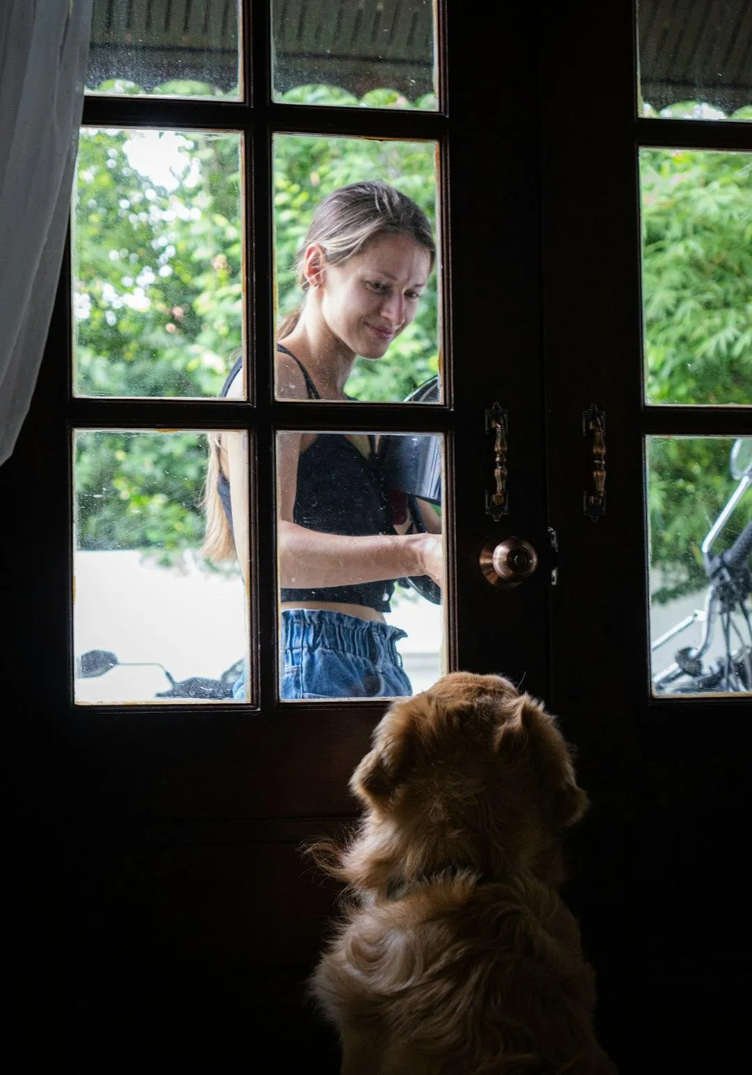 dog waiting at door for owner to enter