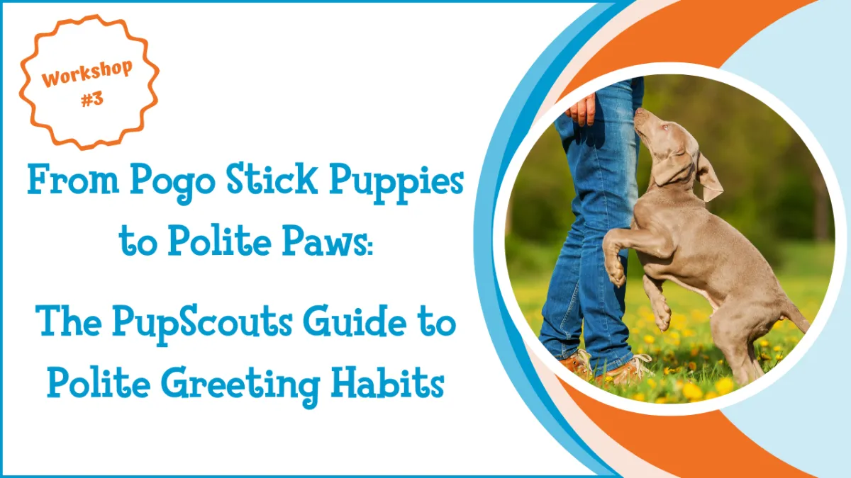 From Pogo Stick Puppies to Polite Paws: The PupScouts Guide to Polite Greeting Habits