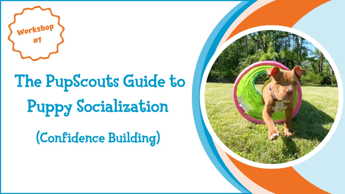 The PupScouts Guide to Puppy Socialization