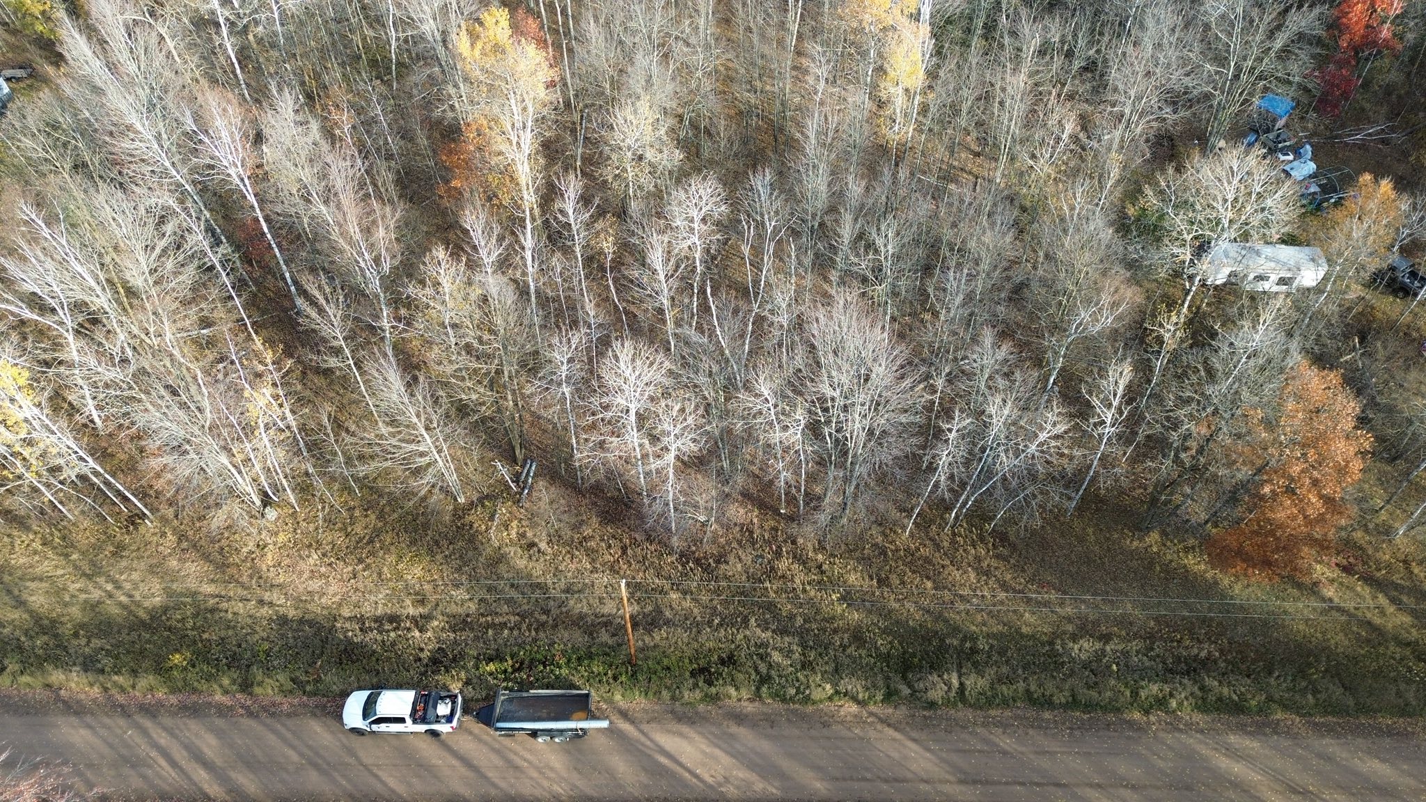 Land clearing services before picture in Sandstone, MN
