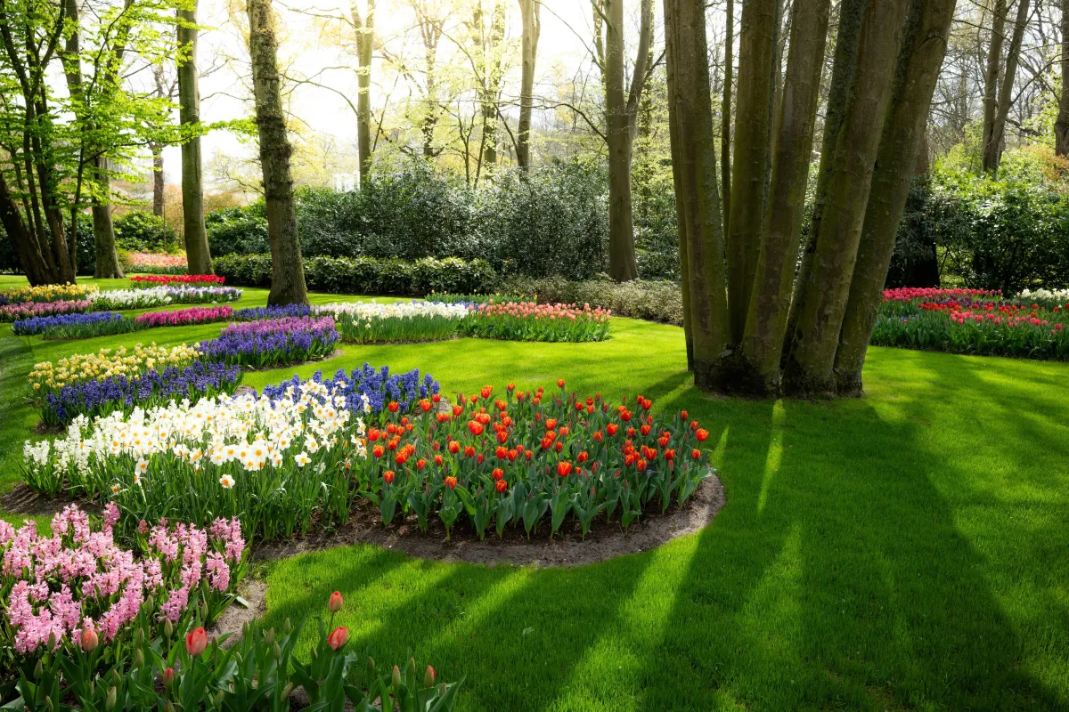Newly installed flower beds and garden design for a home in Olathe, KS.