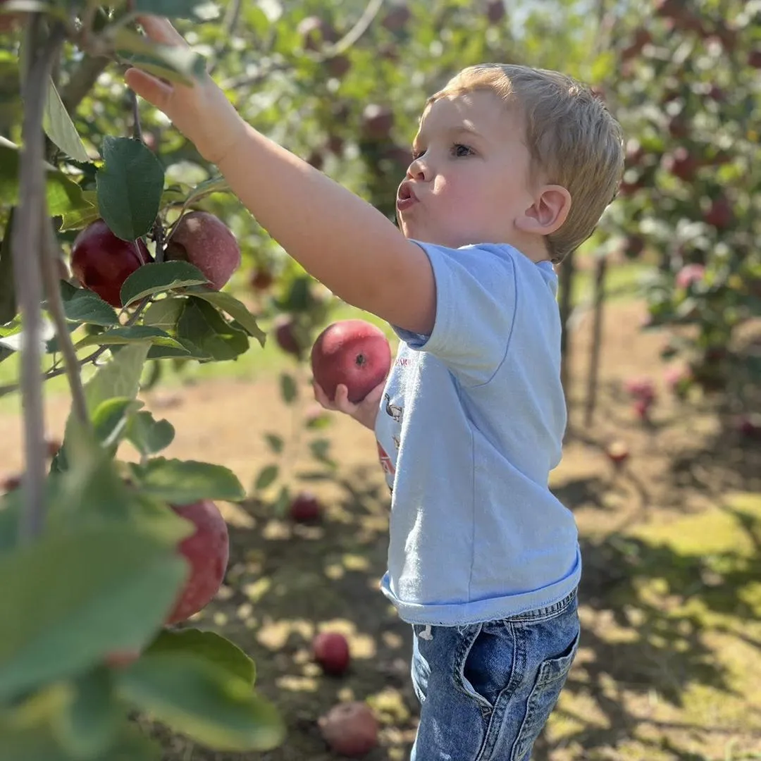 Hillcrest Orchards