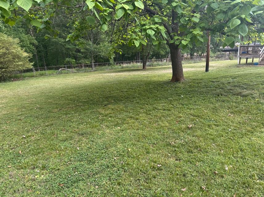 Side yard in Madison NC with crisp edging and evenly cut grass after professional lawn care service