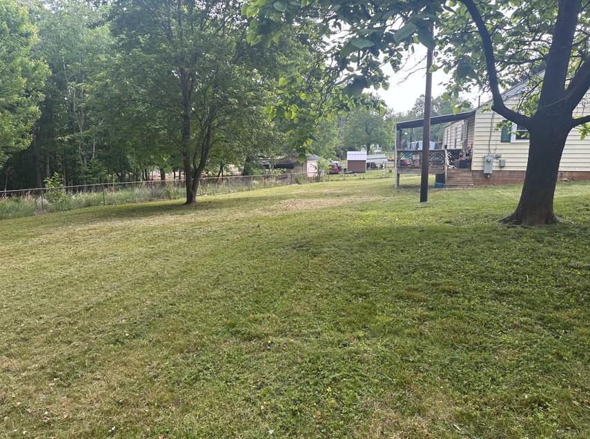 Backyard featuring lush green turf freshly mowed by Madison NC lawn care team