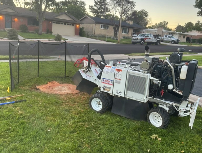 Stump Grinding Services in Provo, Utah