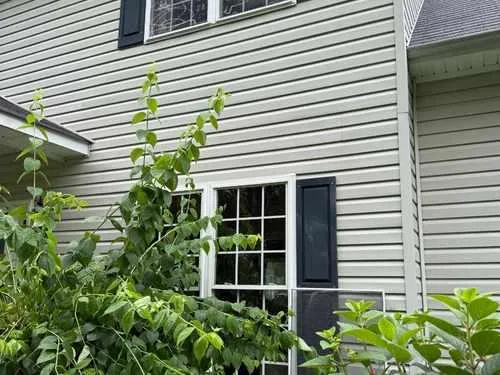 Window Cleaning Culpeper County